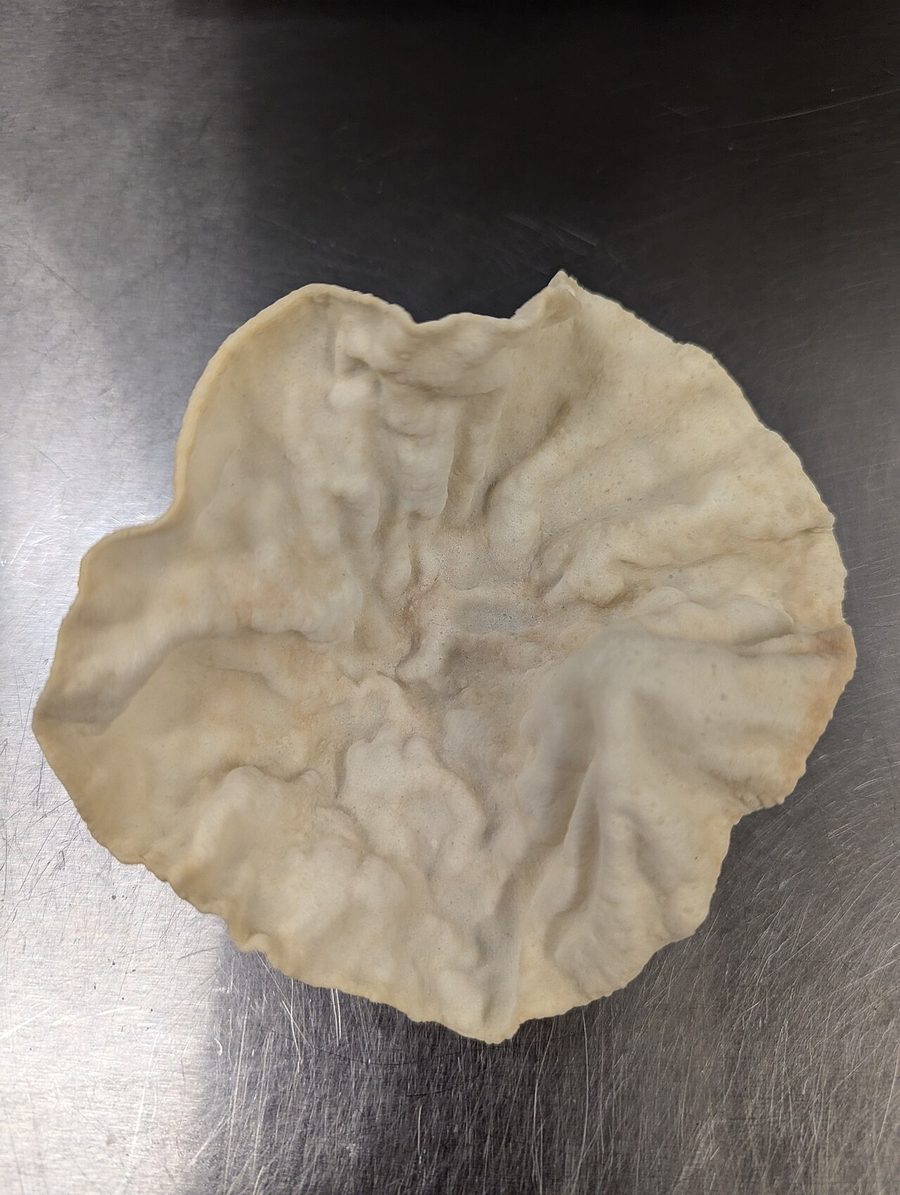 Urad Papad